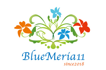 BlueMeria11